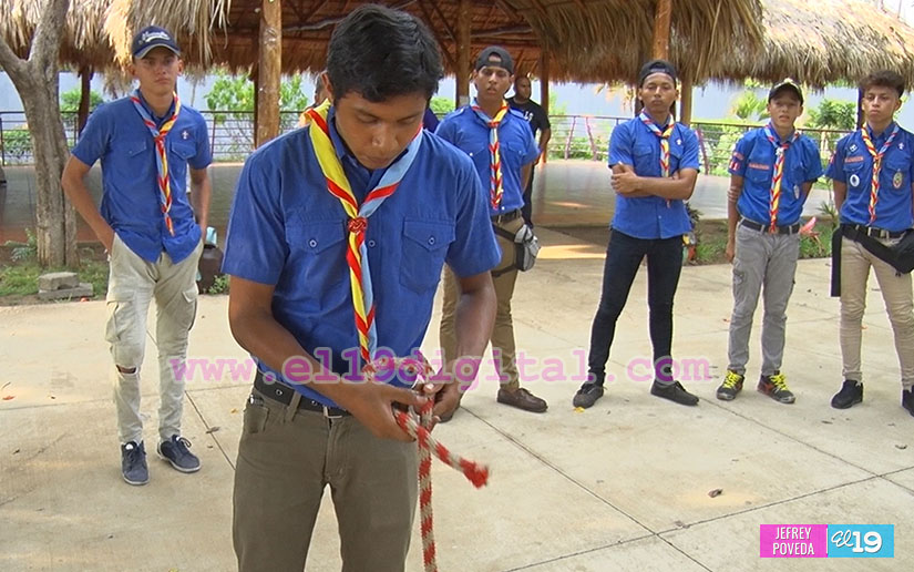 scout